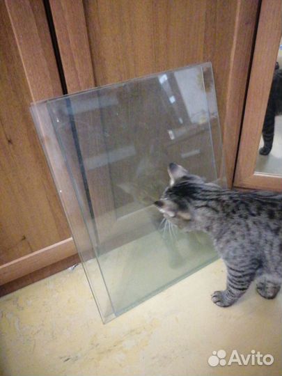 Стеклянные дверцы, зеркальное полотно