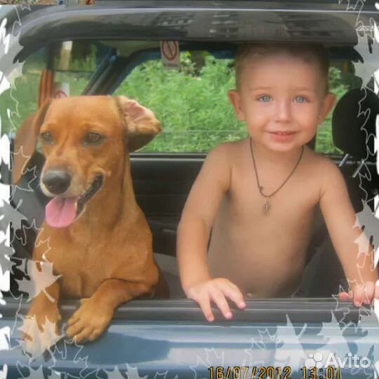 Передержка хвостиков