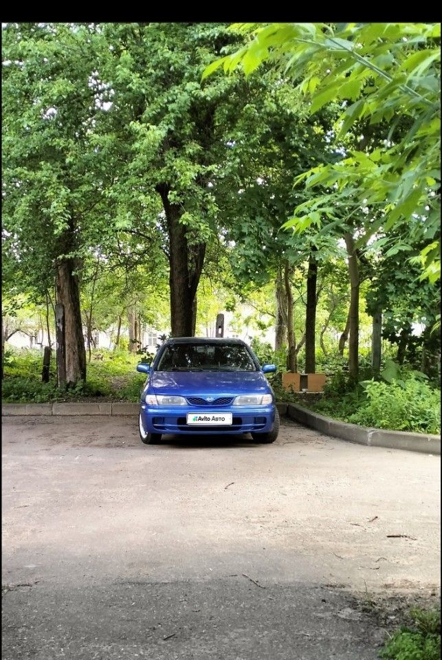 Nissan Almera: фото владельца