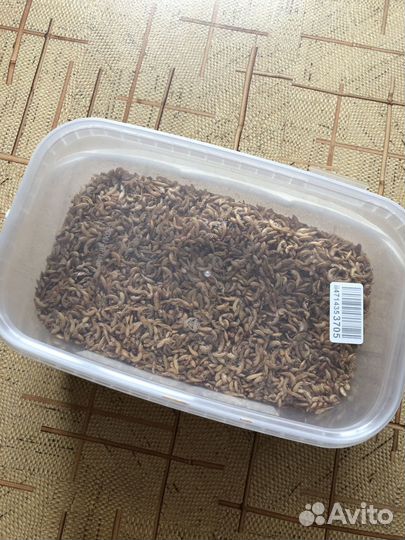 Гаммарус корм для черепах