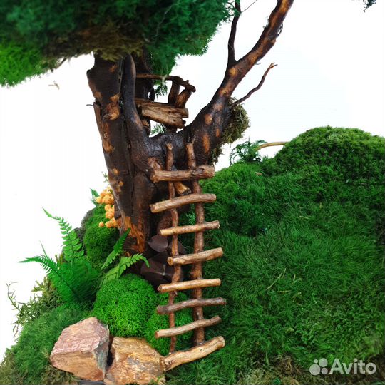 Миниатюра из стабилизированного мха