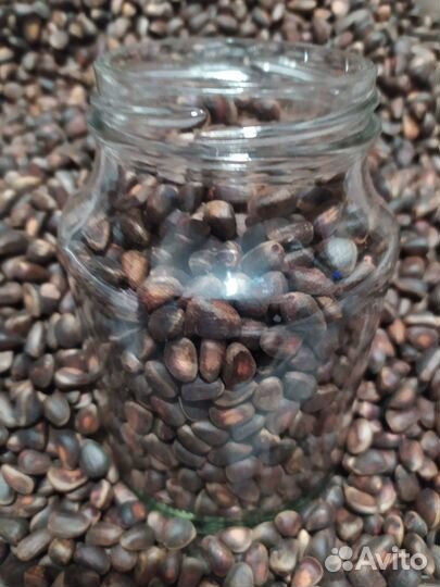 Корм для белочек