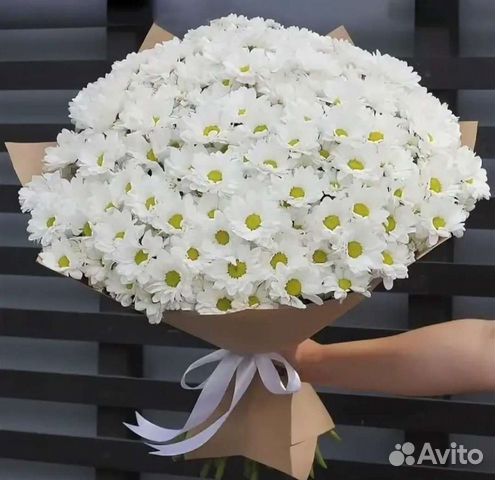 Букеты из Ромашковых хризантем