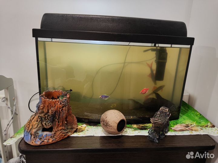 Аквариум с рыбками