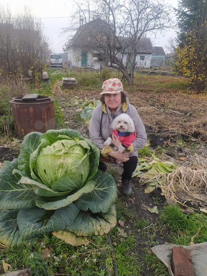 Дача 30 м² на участке 13 сот.