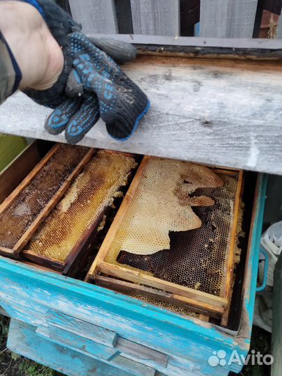 Улья с рамками