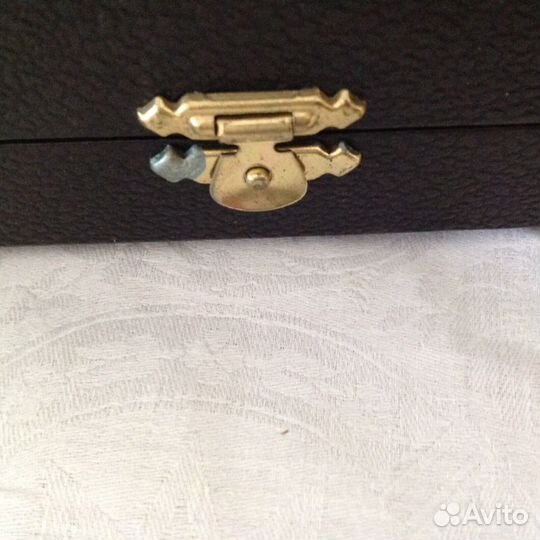 Серебряная Пашотница