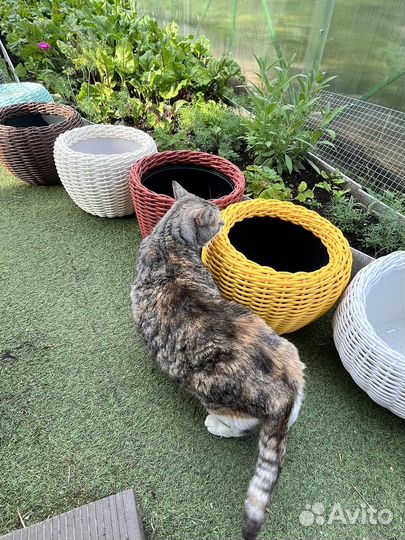 Кашпо и корзинки из ротанга