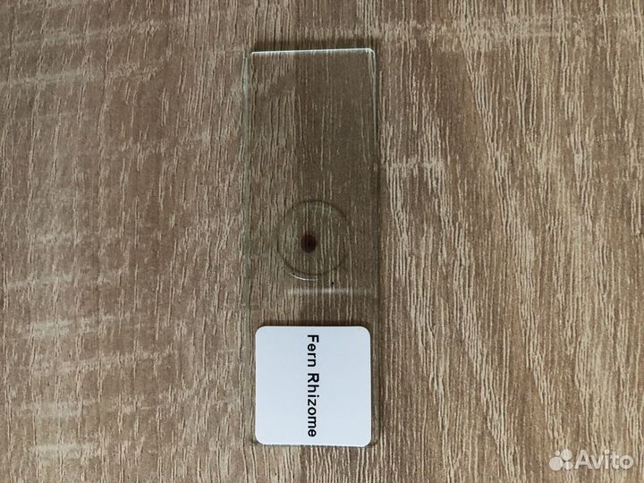 Карманный микроскоп световой фолдскоп