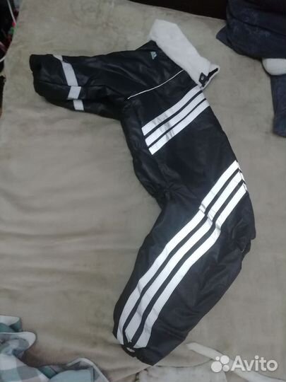 Комбинезон зима для большой собаки(сука)