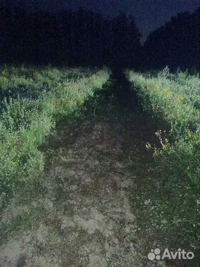 Ягодная ферма-питомник, земля 9,2 га собственность