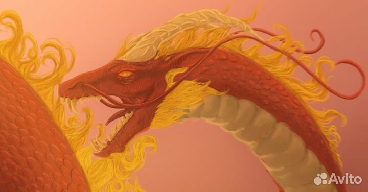 Иллюстрации(рисунки) на заказ