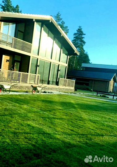 Рулонный газон