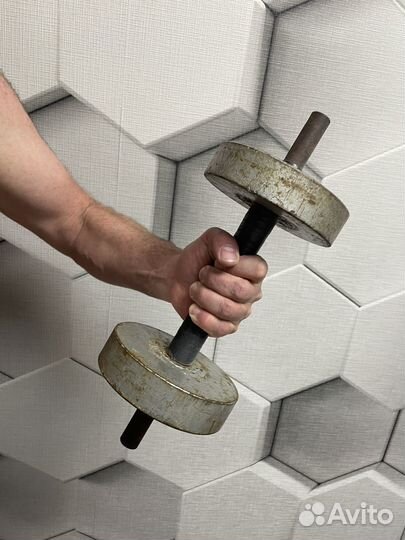 Гантеля 8 кг