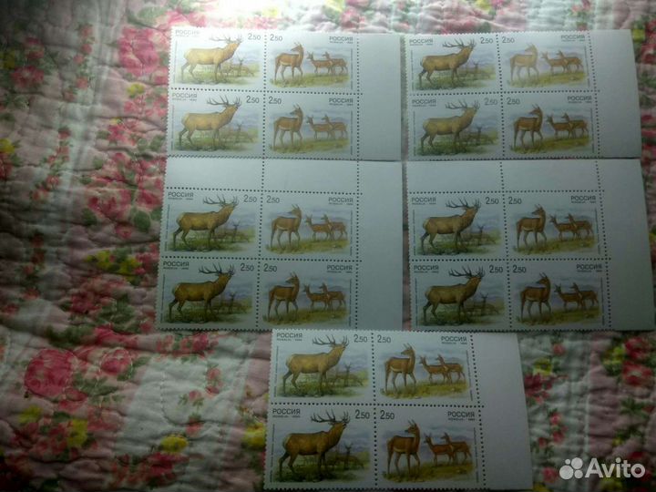 Почтовые марки Россия. 1999г.Сцепка из 4 марок.Фау