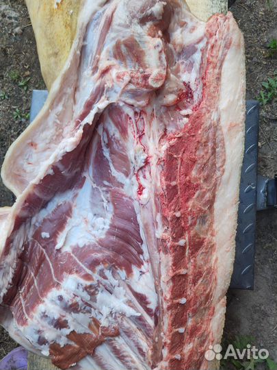 Мясо свинина домашняя