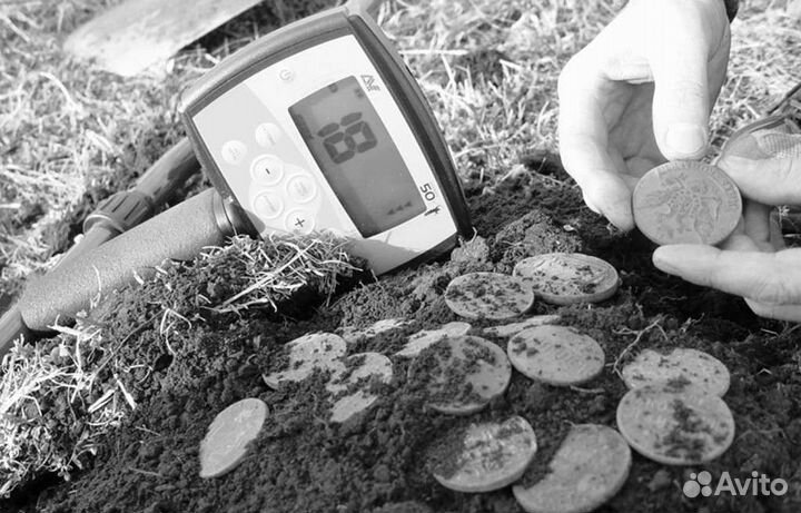 Металлоискатель в аренду, поиск потерянных вещей