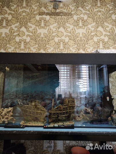 Аквариум