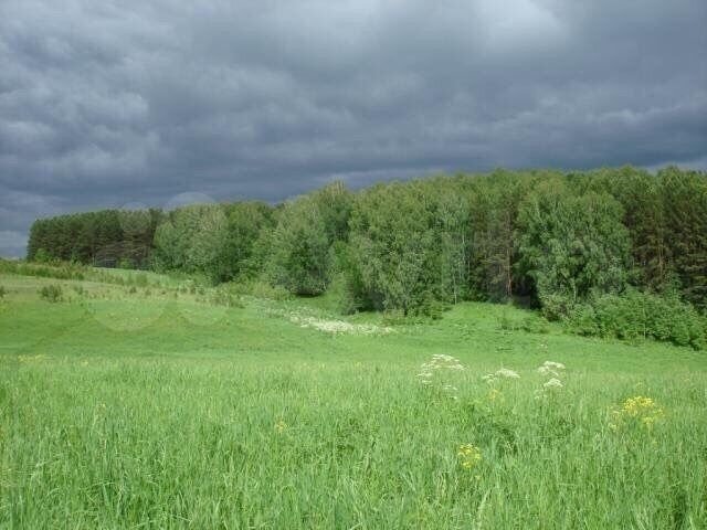 Участок 10 сот. (СНТ, ДНП)