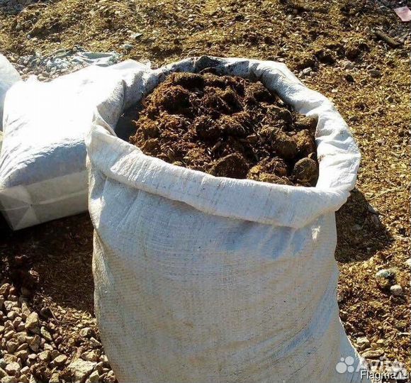 Новоз конский перегной