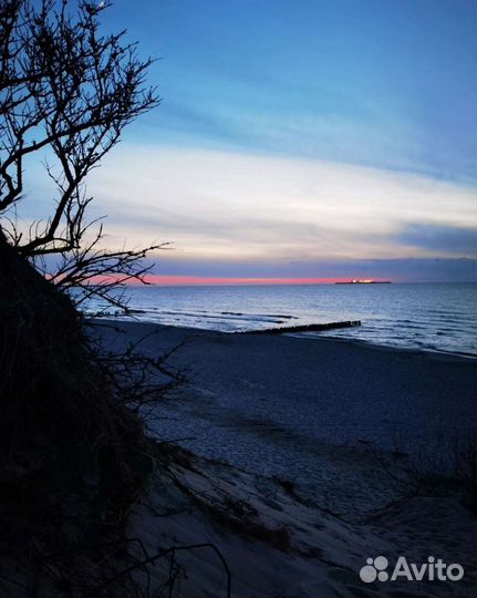 Экскурсии на Куршскую косу и побережье