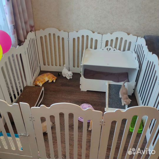 Вольер для питомцев