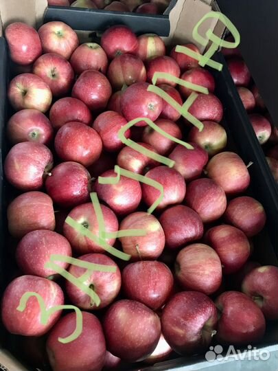 Яблоки оптом
