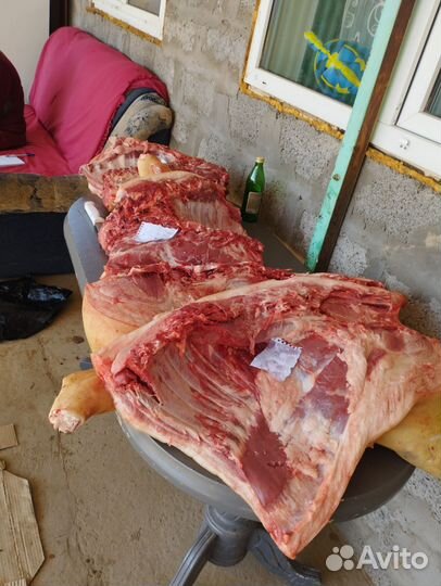 Мясо свинина домашняя