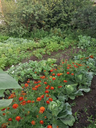 Дом 89,6 м² на участке 8 сот.