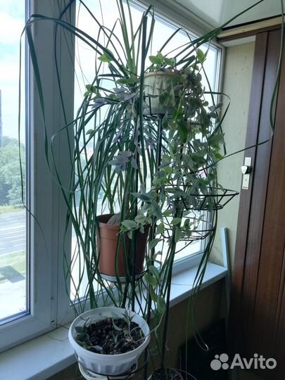 Стойка для цветов кованная