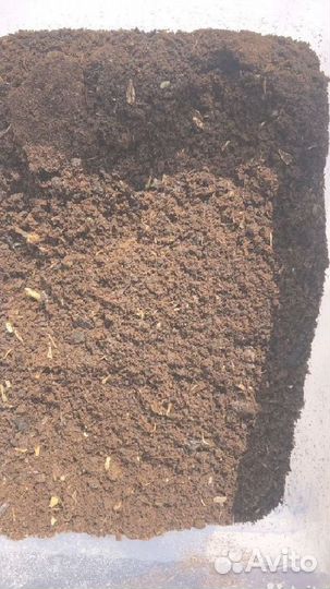 Мясокостная мука кормовая