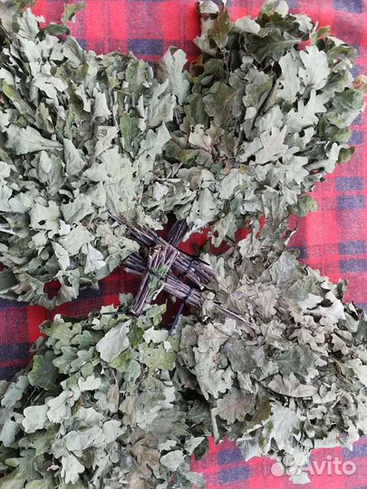 Дубовые веники для бани