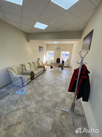 Дрессировка собак, кинолог