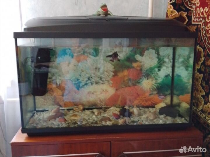 Аквариум