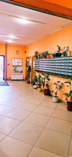 1-к. квартира, 41,3 м², 12/24 эт.