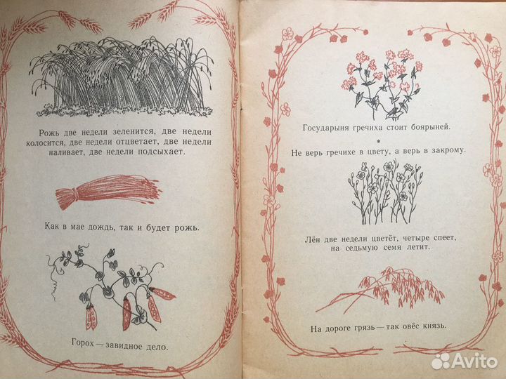 Стихи, рассказы, пословицы, песни, приметы