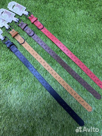 Ошейник для собак из эко-кожи