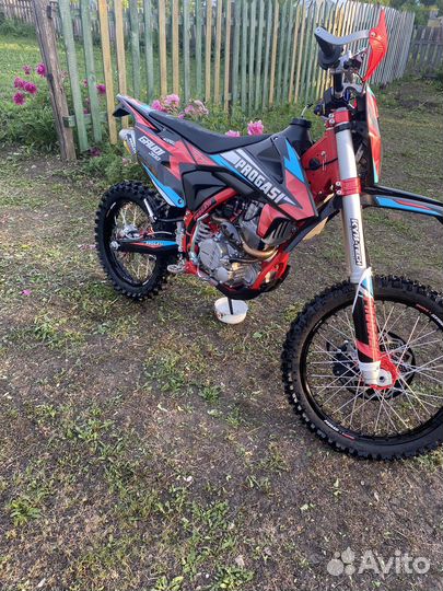 Прогасси Гауди 300