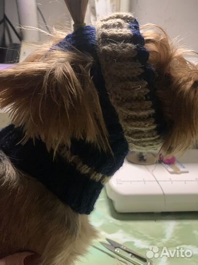 Вязаные шапки для собак