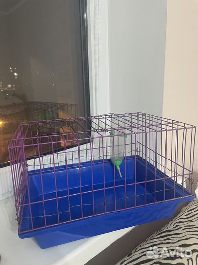 Клетка для грызунов