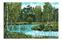 Ковры природа