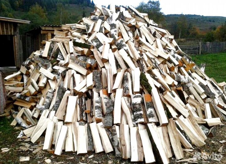 Дрова Береза