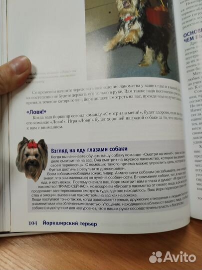 Книги про собак