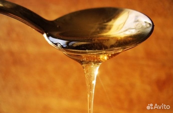 Мёд из Алтая опт