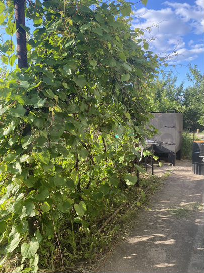 Дача 68 м² на участке 6 сот.