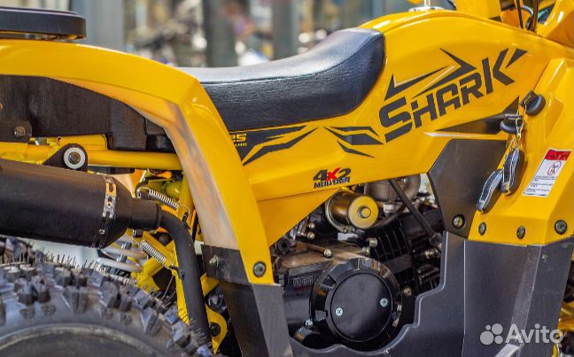 Квадроцикл TAO motors ATV shark (125cc) - L