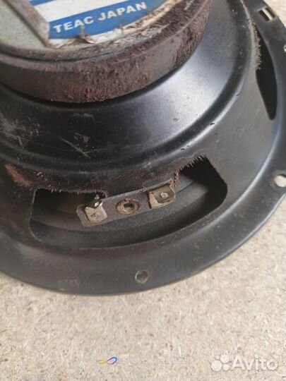 Динамики teac TE-S6