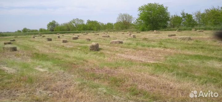 Сено в тюках