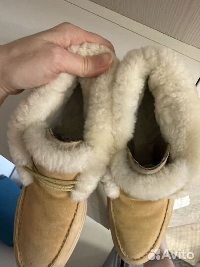 12 storeez ботинки 37