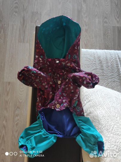 Одежда для собак